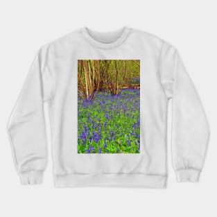 Bluebell Woods Basildon Park Reading UK Crewneck Sweatshirt